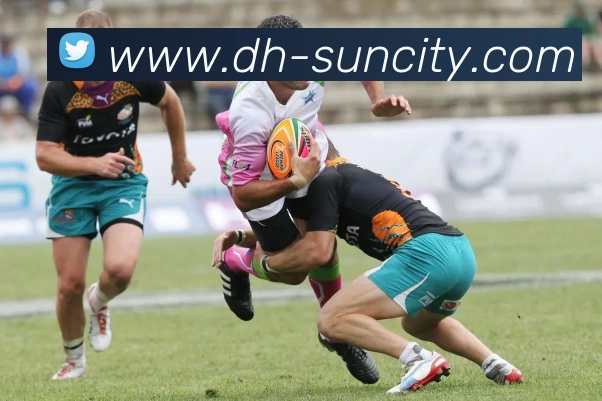 澳门太阳城平台生态图